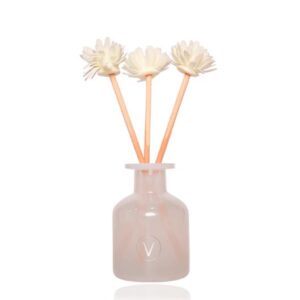 Ambientador com Difusor Natural - Aloe Spa